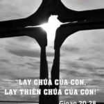 Chúa Nhật II Phục Sinh - Năm C