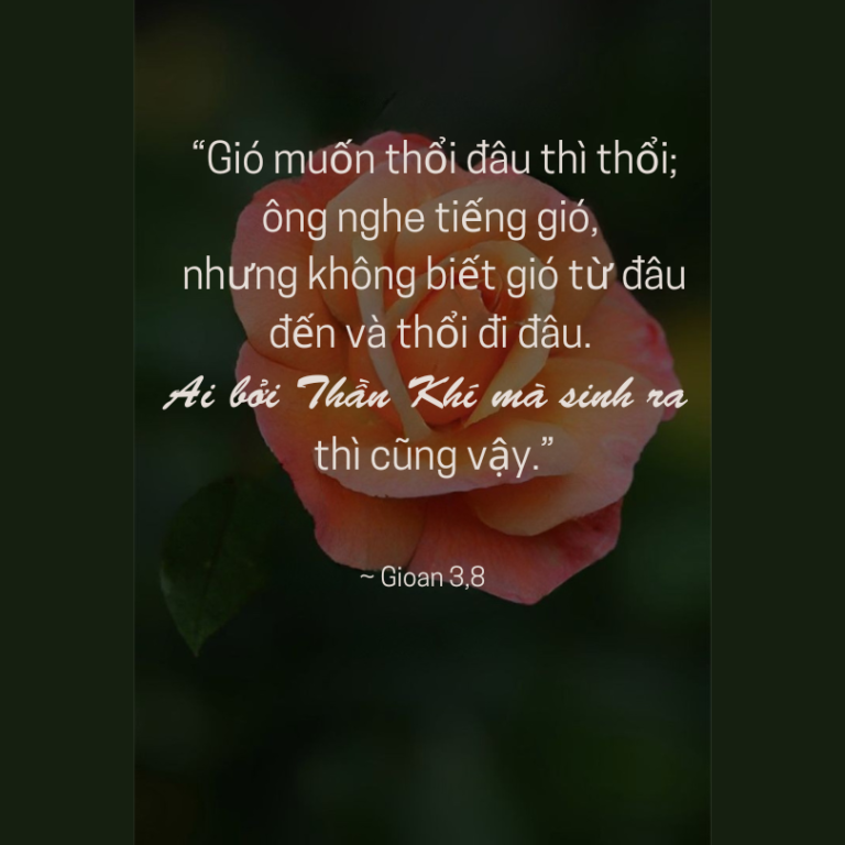 Thứ Hai Tuần II - Mùa Phục Sinh