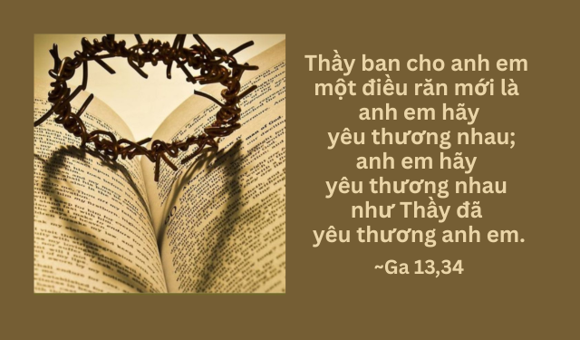 Chúa Nhật Tuần IV – Mùa Phục Sinh C