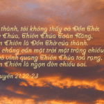 Chúa Nhật Tuần VI - Mùa Phục Sinh (Năm C)