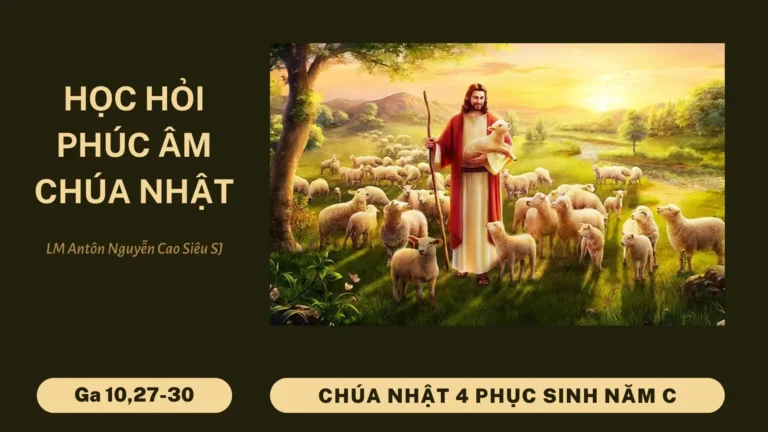 HỌC HỎI PHÚC ÂM CHÚA NHẬT 4 PHỤC SINH NĂM C