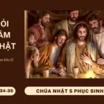 HỌC HỎI PHÚC ÂM CHÚA NHẬT V PHỤC SINH NĂM C