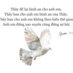 Thứ Ba Tuần V - Mùa Phục Sinh