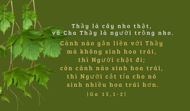 Thứ Tư Tuần V - Mùa Phục Sinh