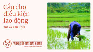 VN-Youtube-Thumbnail-TPV-5-2025-Cau-cho-dieu-kien-lao-dong (1)