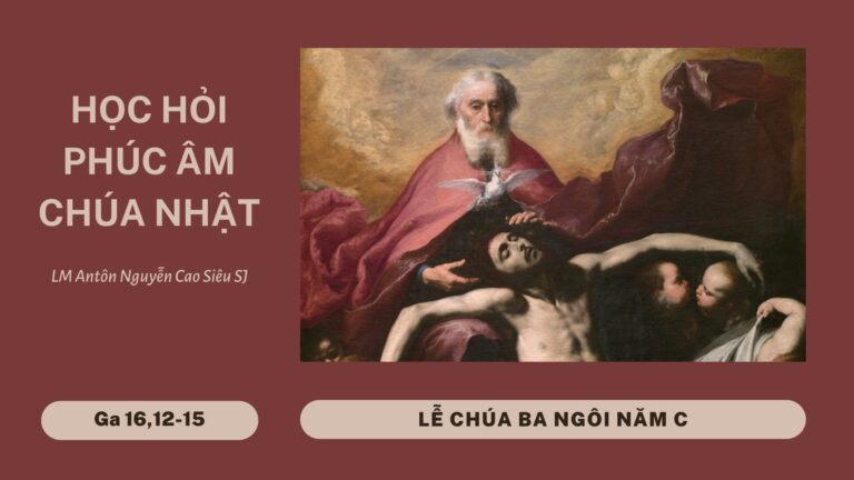 HỌC HỎI PHÚC ÂM CHÚA NHẬT LỄ CHÚA BA NGÔI (Năm C)