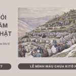 HỌC HỎI PHÚC ÂM CHÚA NHẬT MÌNH MÁU THÁNH CHÚA NĂM C