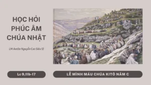 HỌC HỎI PHÚC ÂM CHÚA NHẬT MÌNH MÁU THÁNH CHÚA NĂM C