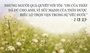 Thứ Bảy Tuần XI - Mùa Thường Niên