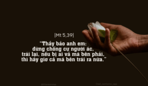 Thứ Hai Tuần XI - Mùa Thường Niên
