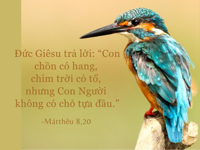 Thứ Hai Tuần XIII - Mùa Thường Niên
