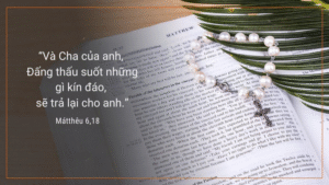 Thứ Tư Tuần XI - Mùa Thường Niên