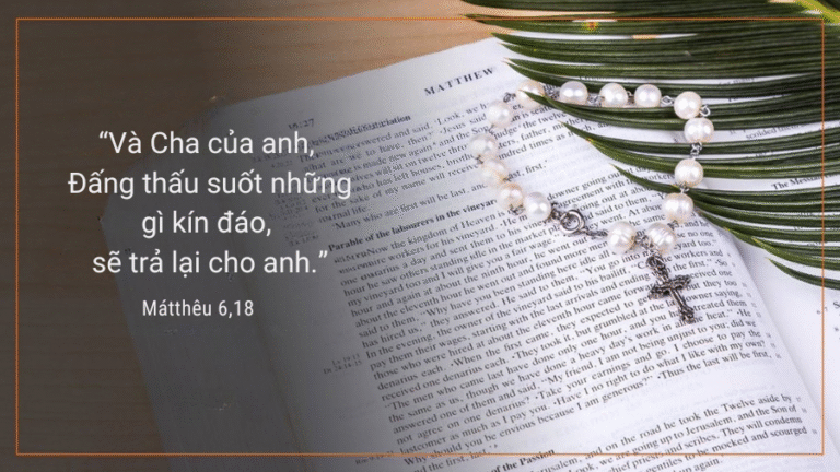 Thứ Tư Tuần XI - Mùa Thường Niên
