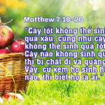 Thứ Tư Tuần XII - Mùa Thường Niên