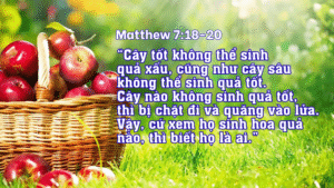 Thứ Tư Tuần XII - Mùa Thường Niên