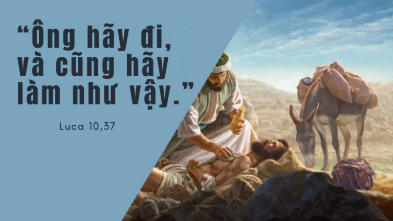 Chúa Nhật Tuần XV - Mùa Thường Niên