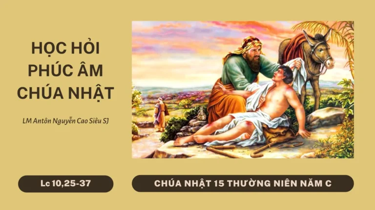 HỌC HỎI PHÚC ÂM CHÚA NHẬT 15 THƯỜNG NIÊN C