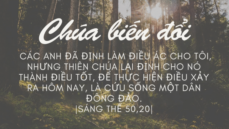Thứ Bảy Tuần XIV - Mùa Thường Niên