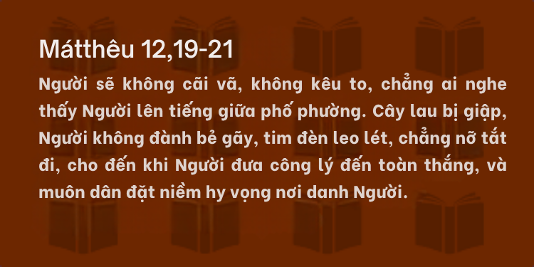 Thứ Bảy Tuần XV - Mùa Thường Niên