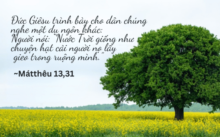 Thứ Hai Tuần XVII - Mùa Thường Niên
