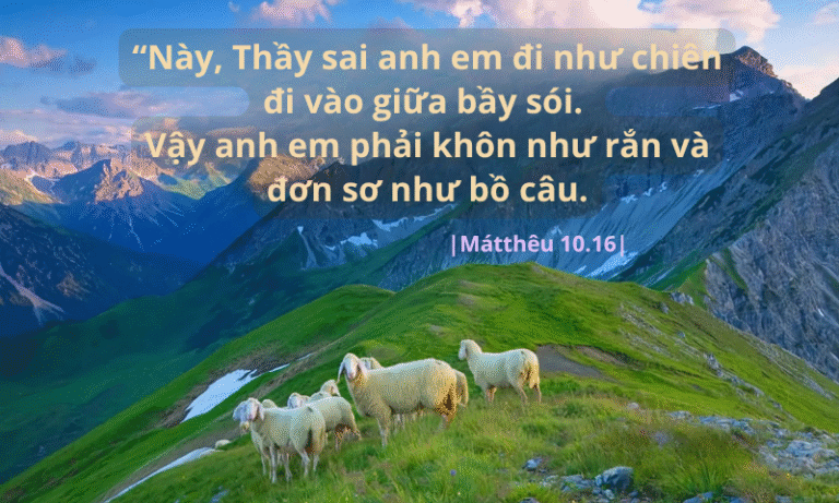 Thứ Sáu Tuần XIV - Mùa Thường Niên