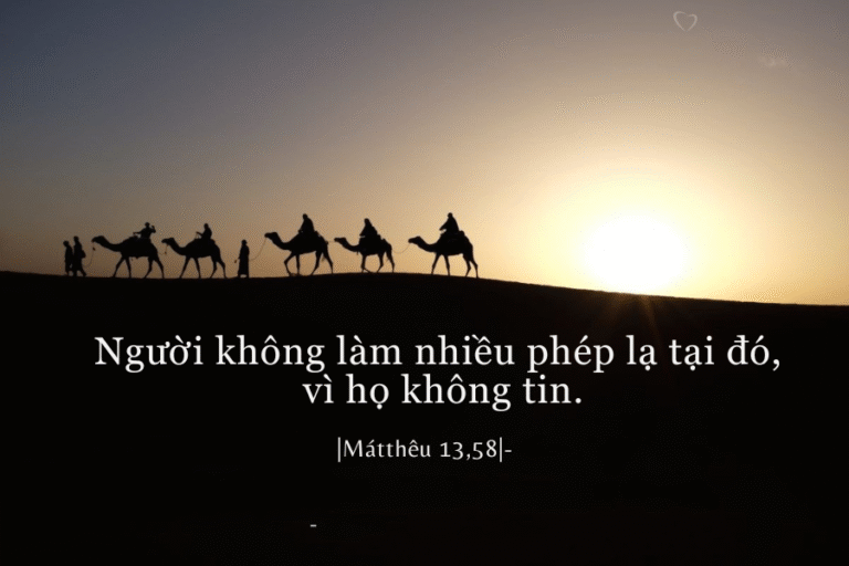 Thứ Sáu Tuần XVII - Mùa Thường Niên
