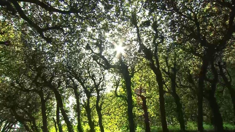 cq5dam.thumbnail.cropped.750.422