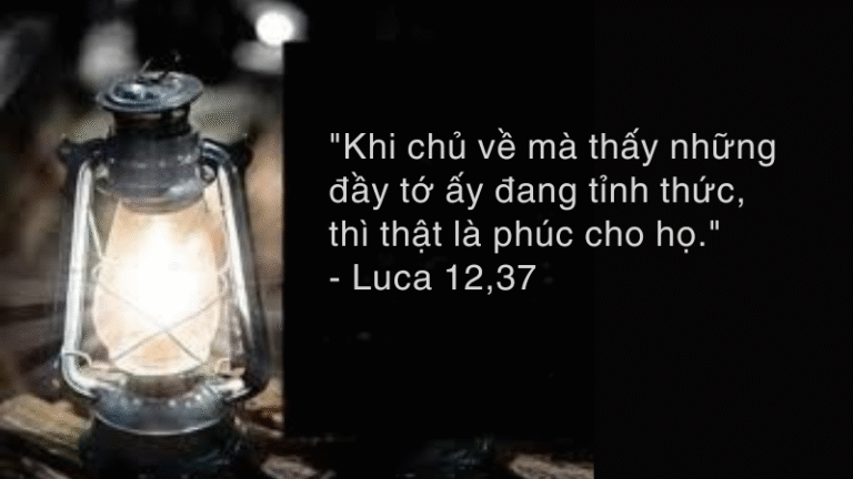 Chúa Nhật Tuần XIX - Mùa Thường Niên - Năm C
