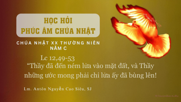 HỌC HỎI PHÚC ÂM CHÚA NHẬT XX TN-C