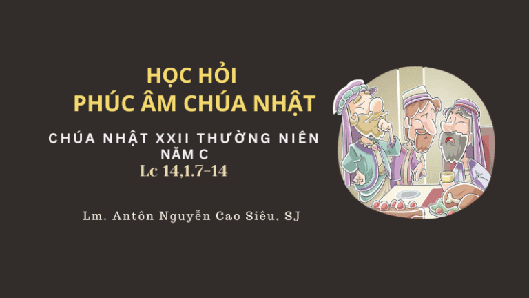 HỌC HỎI PHÚC ÂM CHÚA NHẬT_XXII_C