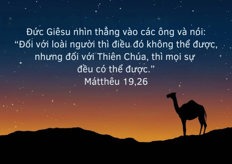Thứ Ba Tuần XX - Mùa Thường Niên