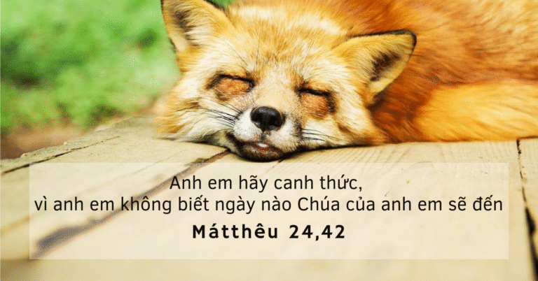 Thứ Năm Tuần XXI - Mùa Thường Niên