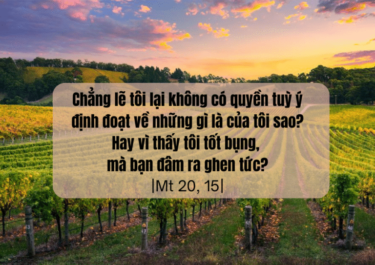 Thứ Tư Tuần XX - Mùa Thường Niên