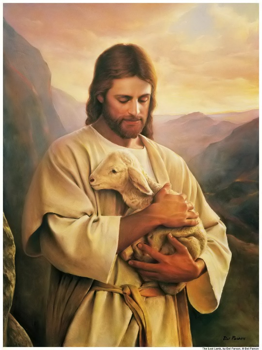 hien mau phu cuong: PHÚC ÂM: Mt 18, 12-14 "Chúa không muốn những kẻ bé nhỏ phải hư đi".