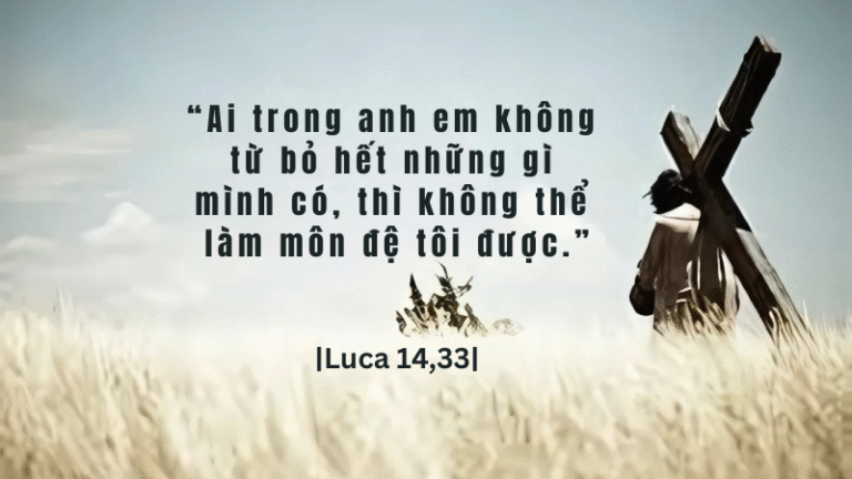 Chúa Nhật Tuần XXIII - Mùa Thường Niên
