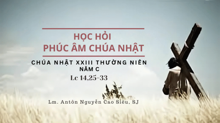 HỌC HỎI PHÚC ÂM CHÚA NHẬT
