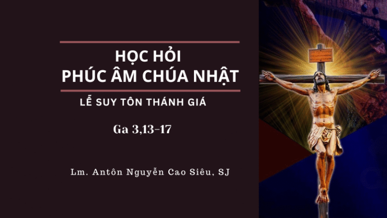 HỌC HỎI PHÚC ÂM CHÚA NHẬT SUY TÔN THÁNH GIÁ
