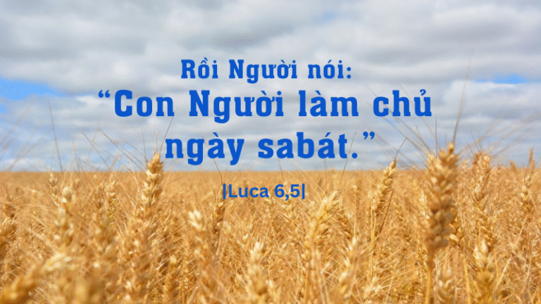 Thứ Bảy Tuần XXII - Mùa Thường Niên