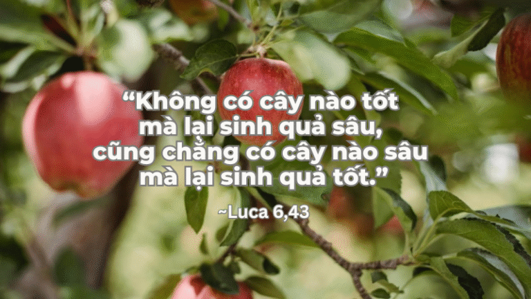 Thứ Bảy Tuần XXIII - Mùa Thường Niên