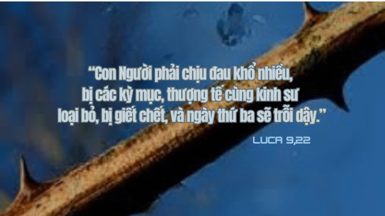 Thứ Sáu Tuần XXV - Mùa Thường Niên