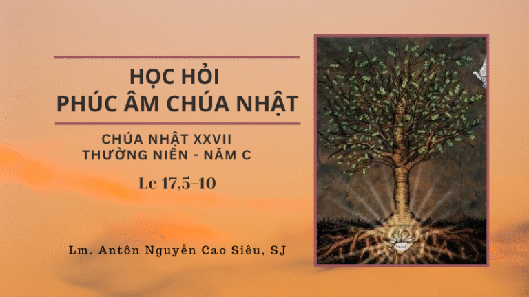 HỌC HỎI PHÚC ÂM CHÚA NHẬT_XXVII_TN_C