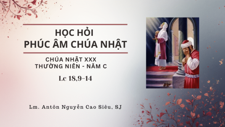 HỌC HỎI PHÚC ÂM CHÚA NHẬT_XXX_TN_C