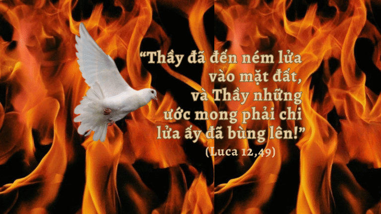 Thứ Năm Tuần XXIX - Mùa Thường Niên