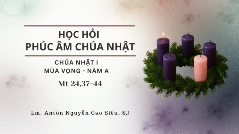 HỌC HỎI PHÚC ÂM CHÚA NHẬT I - MV A