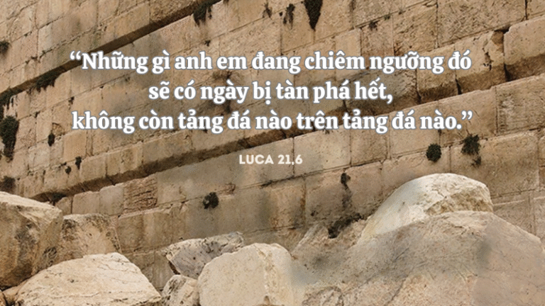 Thứ Ba Tuần XXXIV - Mùa Thường Niên