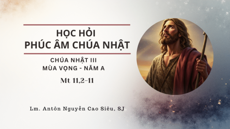 HỌC HỎI PHÚC ÂM CHÚA NHẬT III - MV A