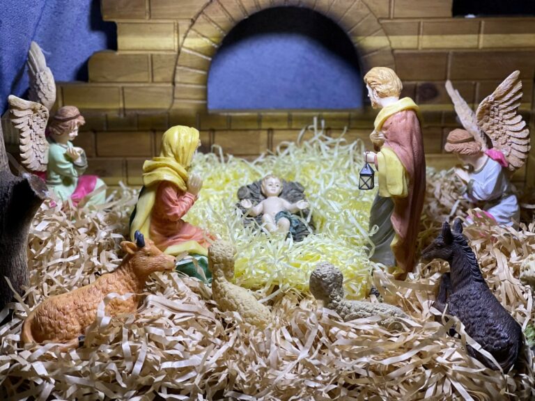 E:\HINH CHA SON CHUP\hang da 2025.jpg