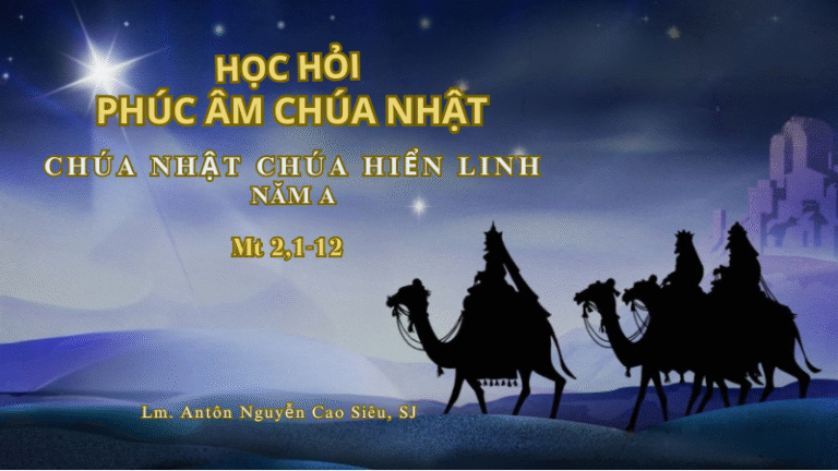 HỌC HỎI PHÚC ÂM CHÚA NHẬT CHÚA HIỂN LINH