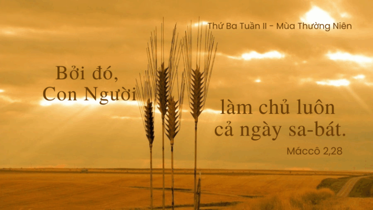 Thứ Ba Tuần II - Mùa Thường Niên