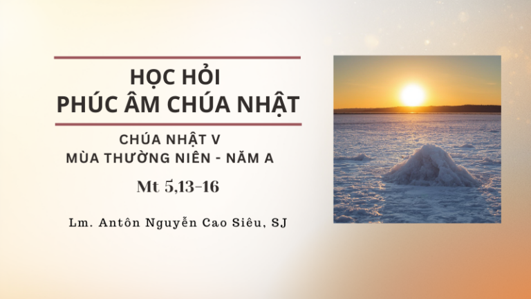 HỌC HỎI PHÚC ÂM CHÚA NHẬT V TN - A